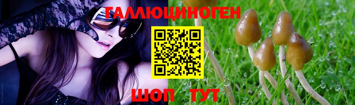 Симферополь  Псилоцибиновые грибы Psilocybine cubensis  Вход с VPN  Галлюциногенные грибы ЛСД 